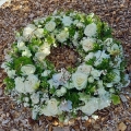 img Couronne blanche