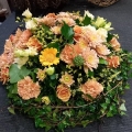 img Coussin rond liane de lierre
